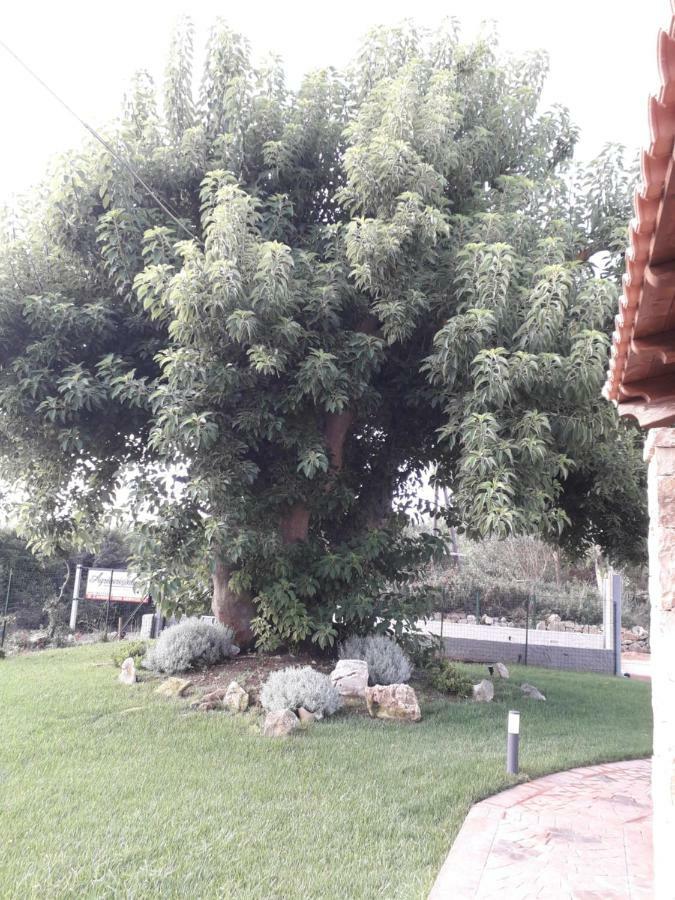 Agriturismo Quattro Mori Porto Torres Eksteriør billede