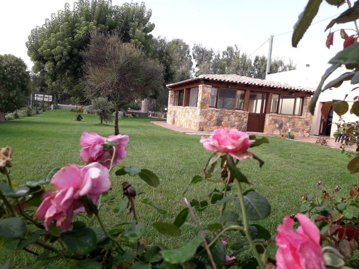 Agriturismo Quattro Mori Porto Torres Eksteriør billede
